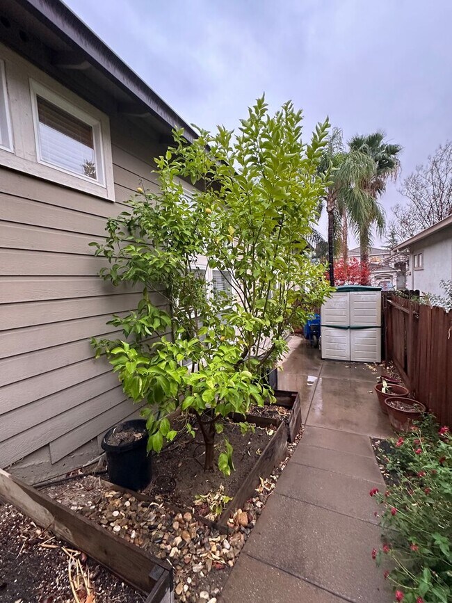 Building Photo - Gorgeous 4 Bed, 2 Bath in Shadow Lakes with SOLAR!