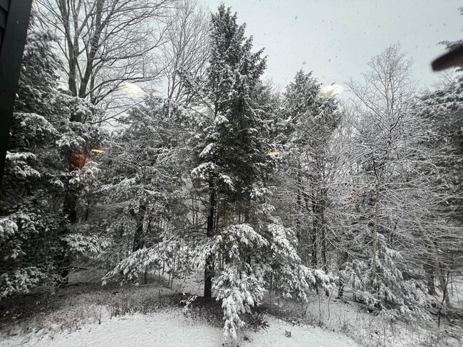 Building Photo - Winter vacation rental in Quechee