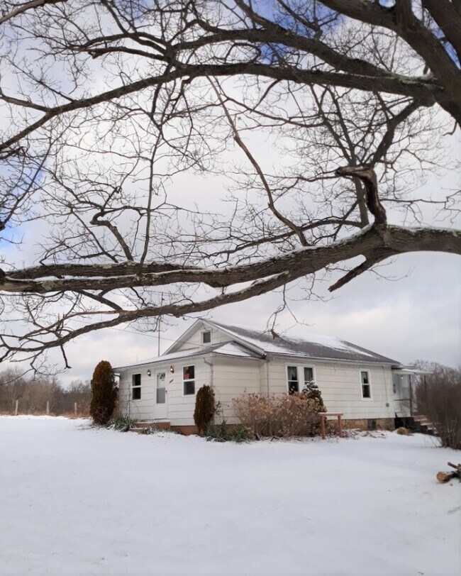 Primary Photo - 3605 Walnut Bottom Rd