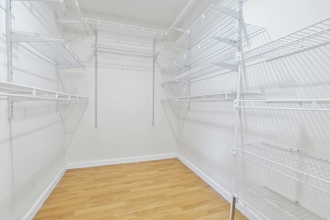 Building Photo - 3852 Wendy Anne Cir