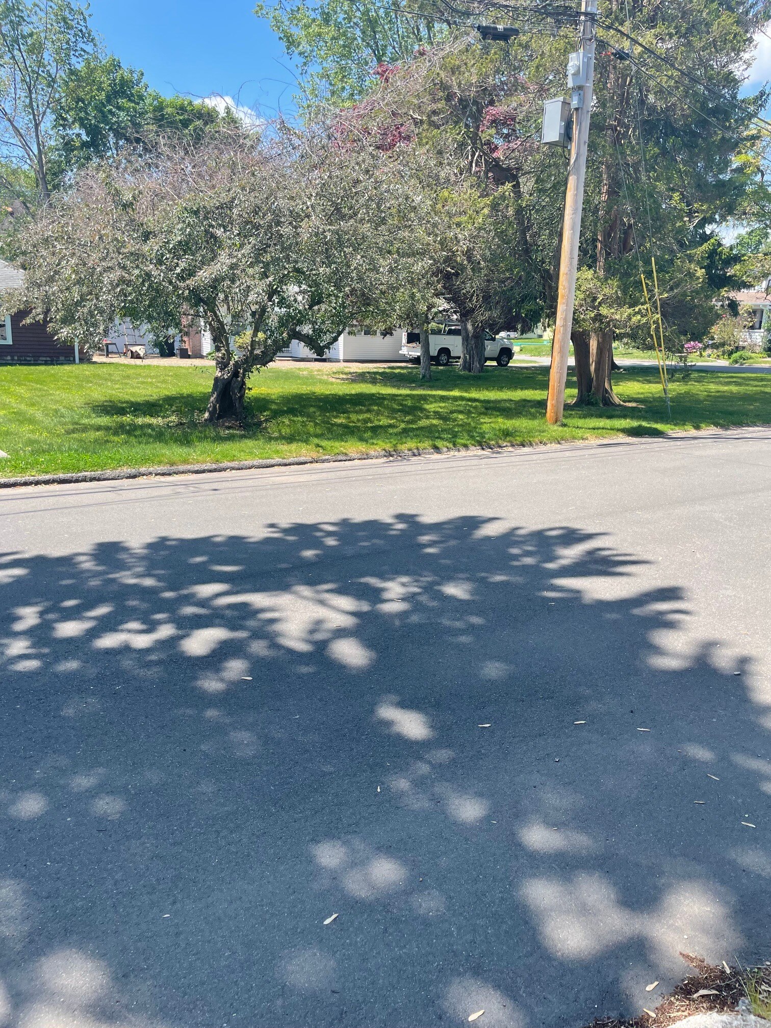 Yard view from Charles Street - 9 Miles St