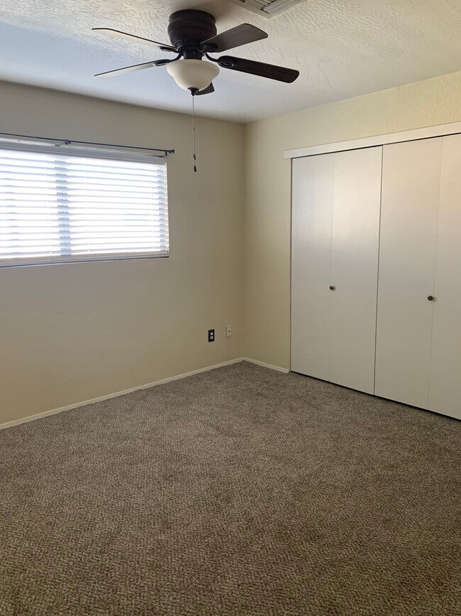 Building Photo - 2901 S Palo Verde Ln