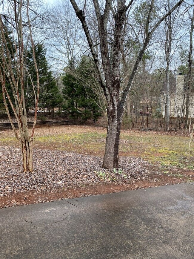 Building Photo - Wonderful 3 bedroom/2.5 bathroom House with 2 Car Garage in Snapfinger!