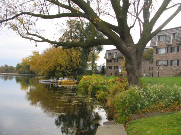 Lake Living - 231 N Fowler St