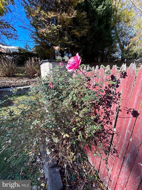 Building Photo - 10804 Drumm Ave