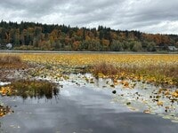 Building Photo - 8582 Long Lake Rd SE