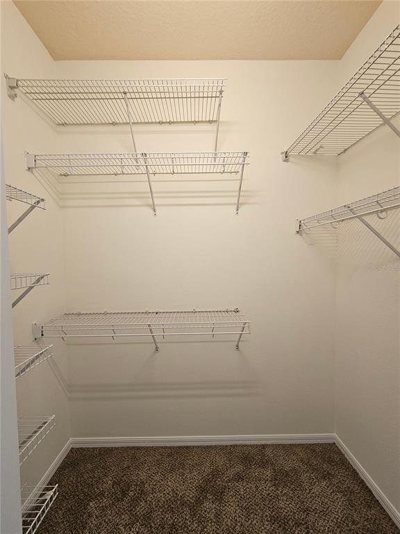 Building Photo - 7209 Colonial Lake Dr