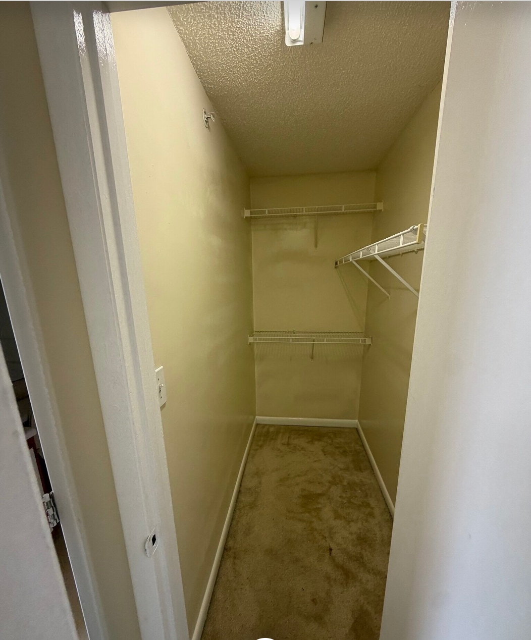 Building Photo - 1420 Collegiate Cir