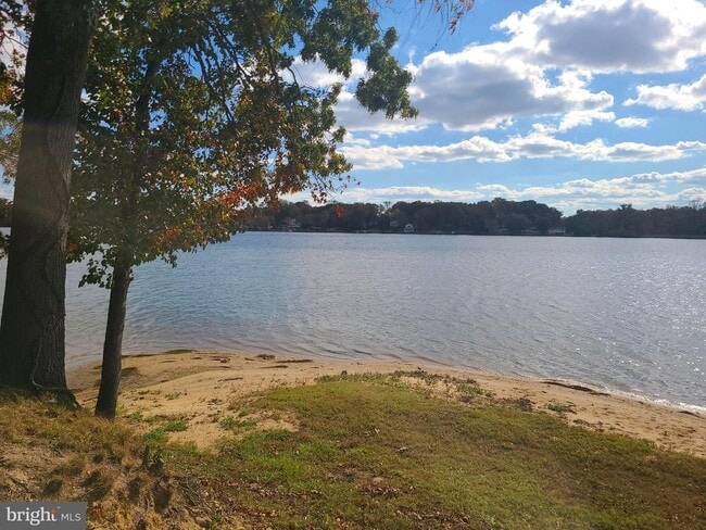 Building Photo - 11003 Bowerman Rd