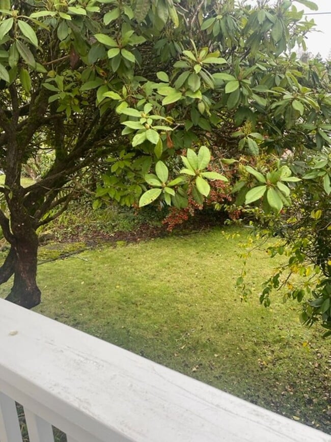 Building Photo - Spacious Craftsman Home