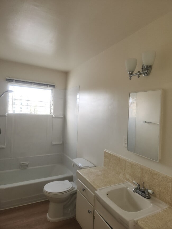 Building Photo - 501 S Oxford Ave