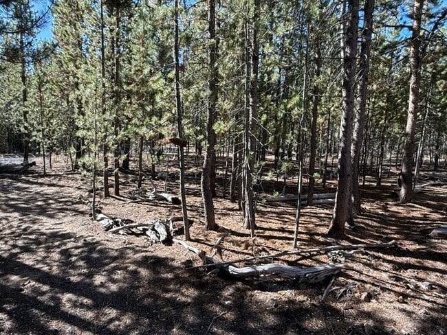 Building Photo - Peaceful 2-Bedroom with Den Home on Over an Acre with Private River Trail 3 Bedrooms | 2 Bathroom...