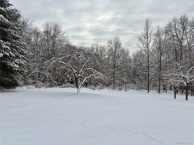 Building Photo - 156 Bloom Rd