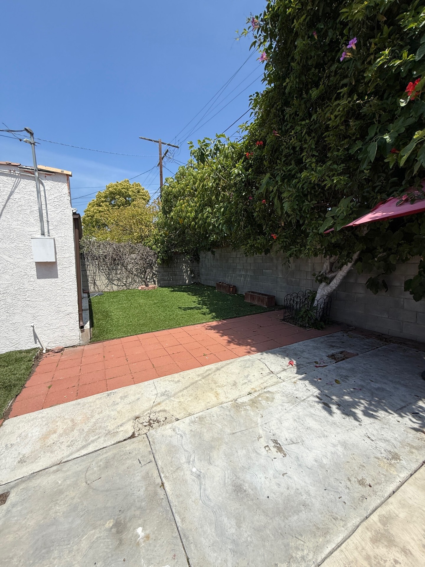 Building Photo - 446 N Alta Vista Blvd