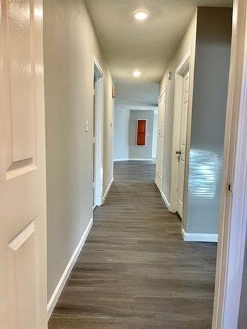 Building Photo - 204 Honey Bee Dr