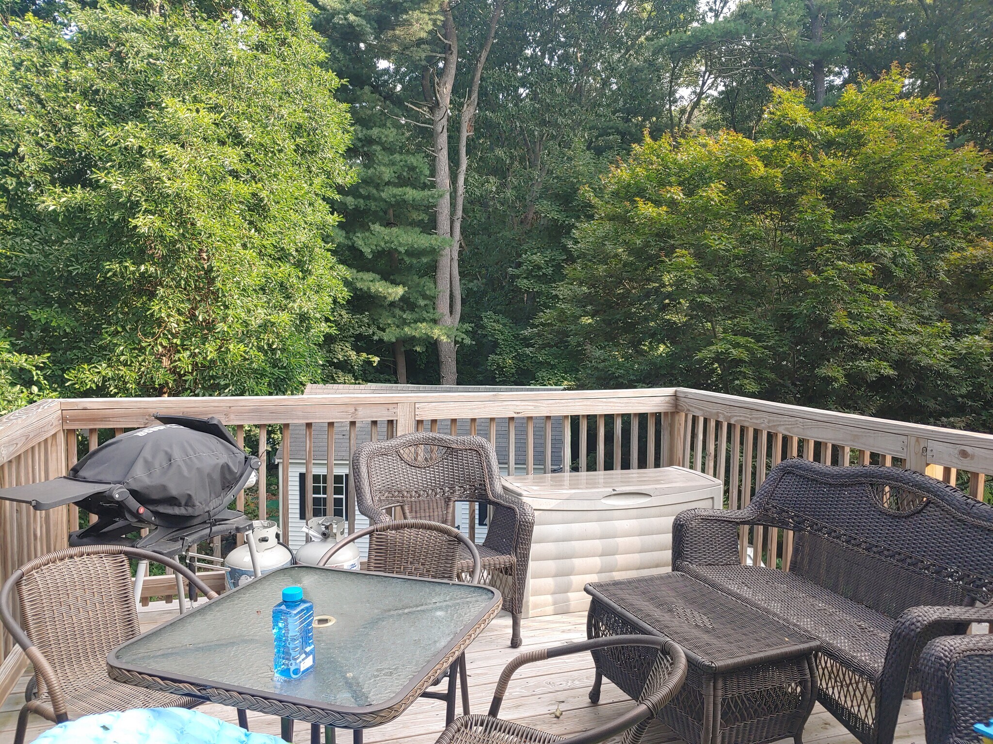 Private back yard fully treed - 623 Old West Central St