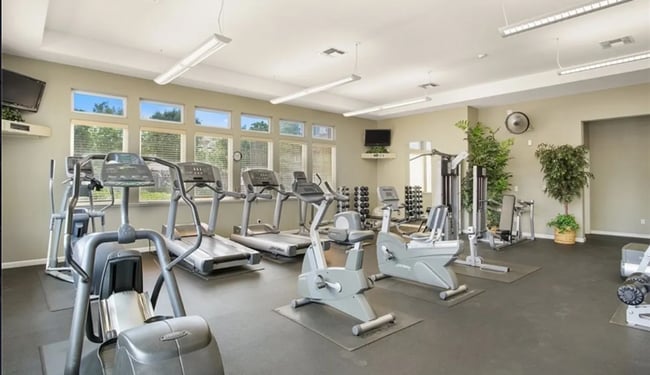 Building Photo - Balboa Park Luxury Living