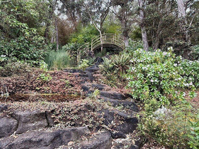 Building Photo - Forest Retreat at the Top of Kaloko