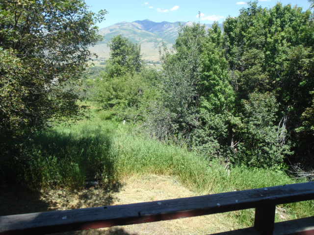 Building Photo - Ski season special, Month to month or 6 month lease- Cute Secluded Cabin In Eden for Rent