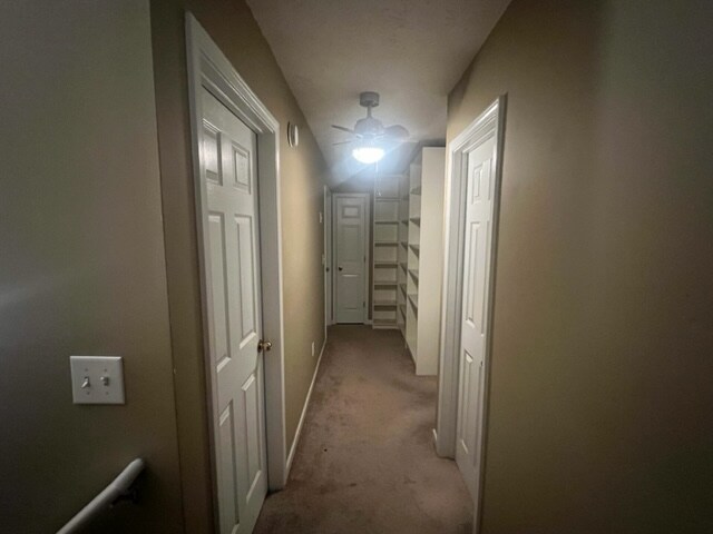 Building Photo - 3245 Timber Walk Cir