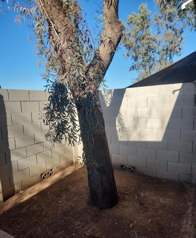 Building Photo - MARVELOUS TWO BEDROOMS AND ONE BATHROOM AV...