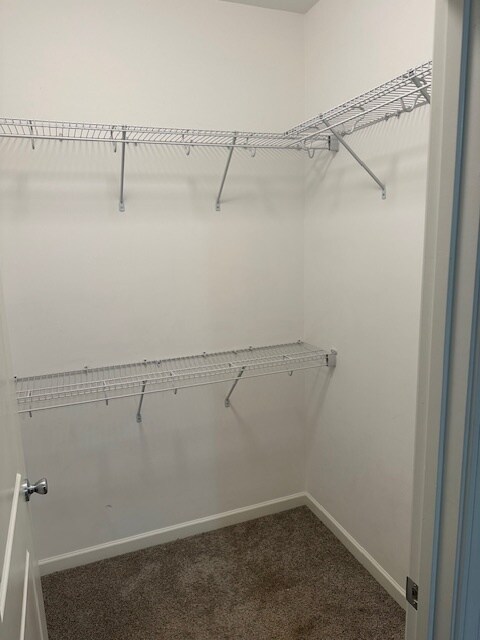 Building Photo - 723 Murphy St