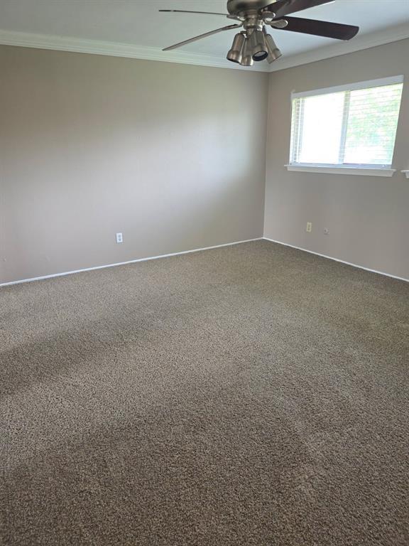 Building Photo - 16611 Quail Dale Dr