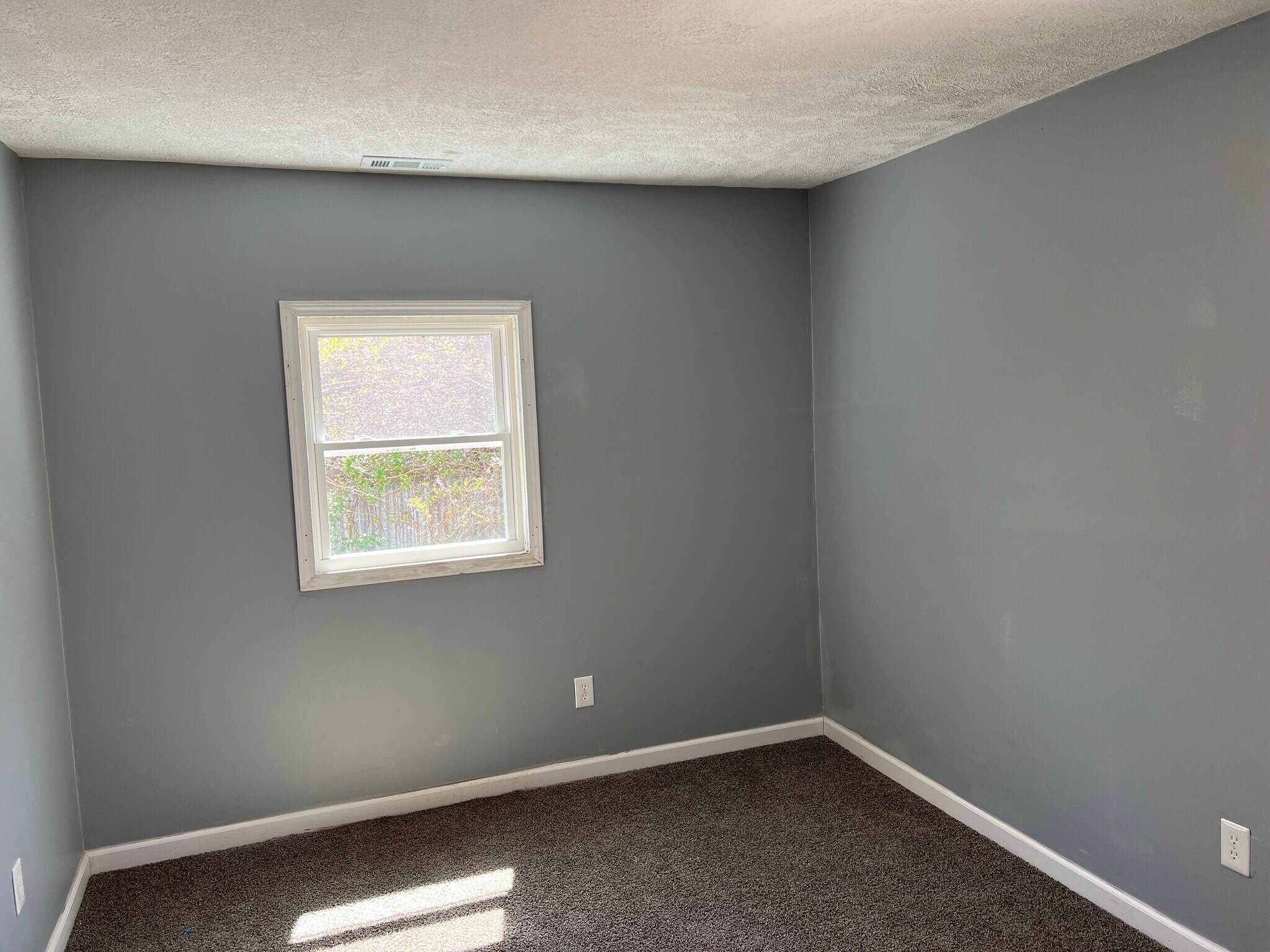 Building Photo - 115 Rupe St