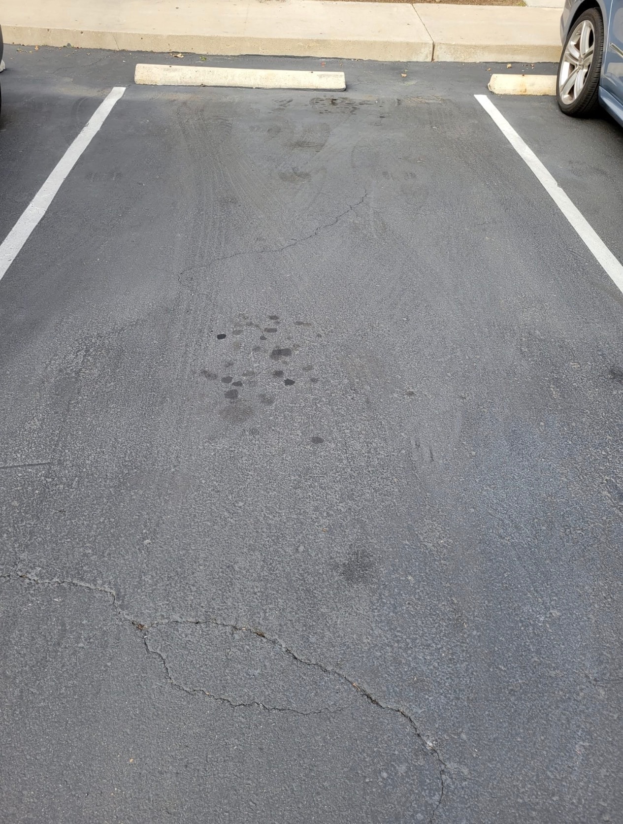 Building Photo - 9856 Shirley Gardens Dr