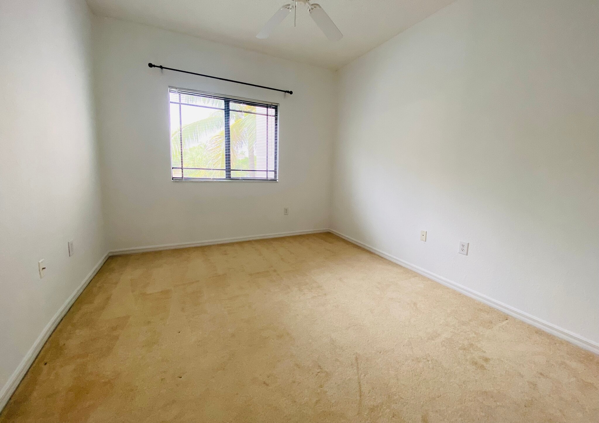 Building Photo - 2807 Veronia Dr
