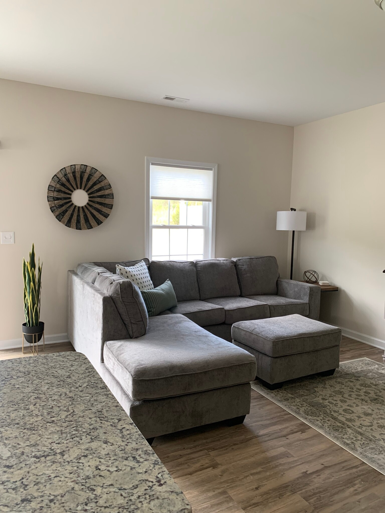 Living room - 239 Louise Ln