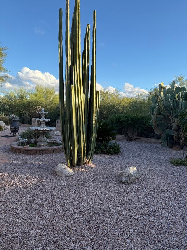 Building Photo - 2384 E Bonita Canyon Dr