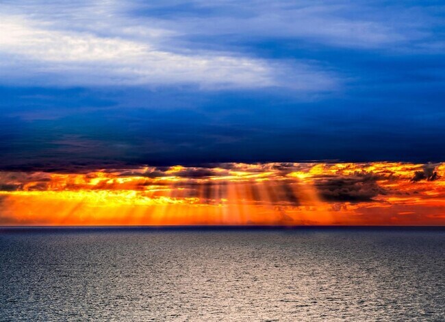 Building Photo - 501 N Ocean Blvd