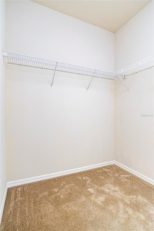 Building Photo - 304 Southern Pecan Cir