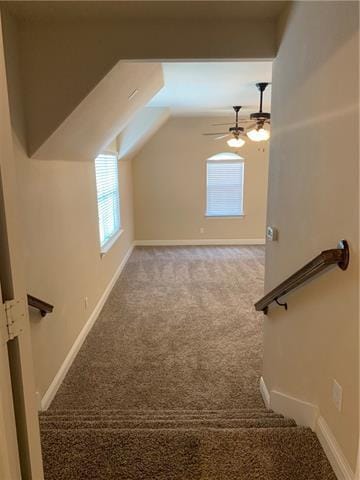 Building Photo - 3605 Mohan Ct