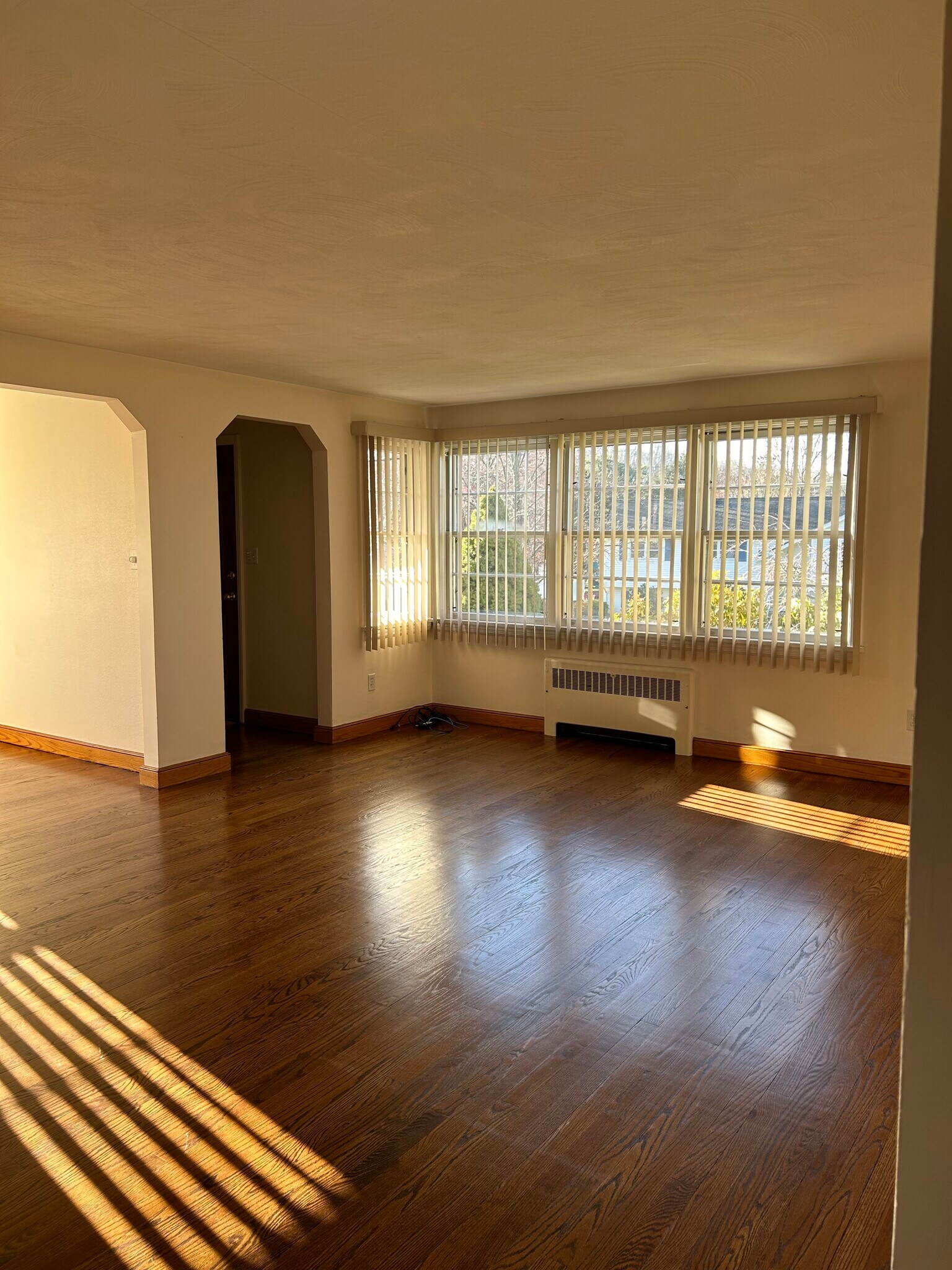 Living room - 197 Carter Ln