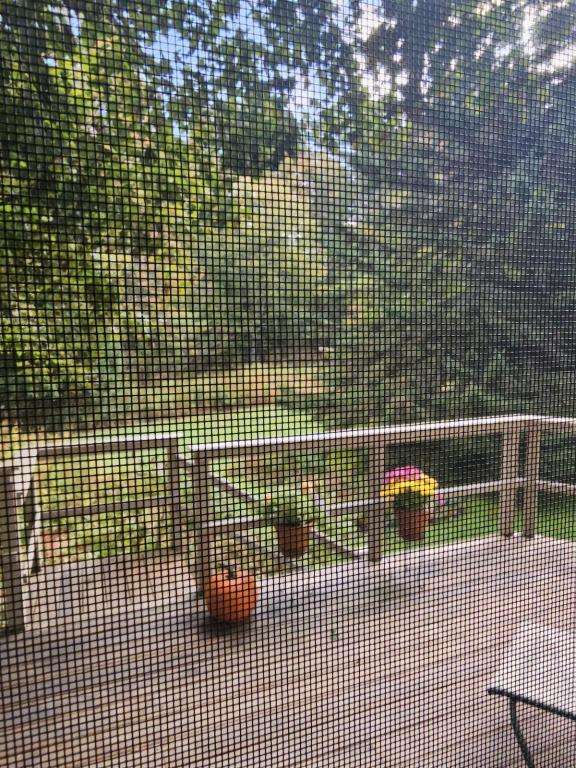 Building Photo - 378 Commercial St