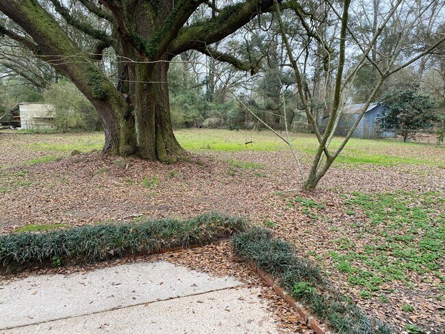 Building Photo - Charming 3 Bedroom Home with Large Yard in Theodore!
