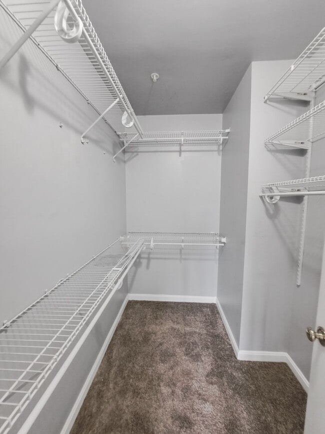 Building Photo - 11731 Brookeville Landing Ct