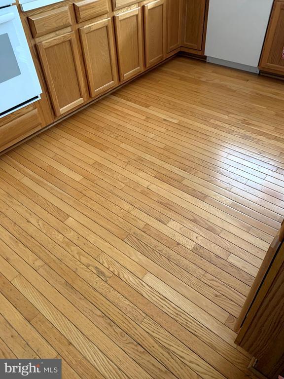 Building Photo - 2701 Summers Ridge Dr