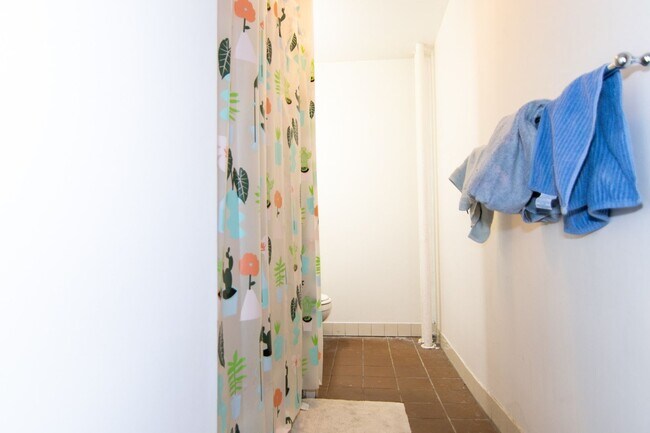 Building Photo - Gorgeous three bed room great sun light  Large bedrooms.