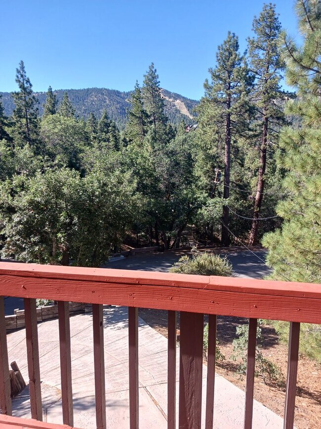 Building Photo - Big Bear Retreat