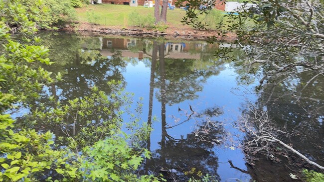 Building Photo - Mallard Pond