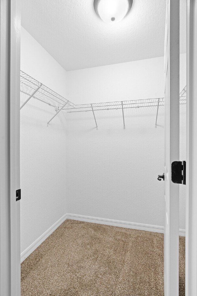 Building Photo - Beautiful Brand new 3 Bd/2 bath Home in Ma...