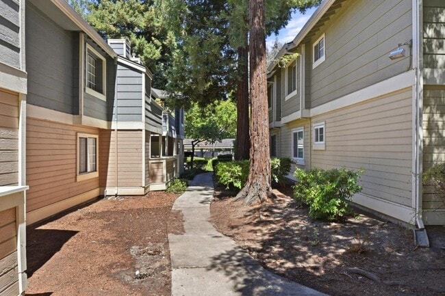 Building Photo - 2695 Somerset Park Cir