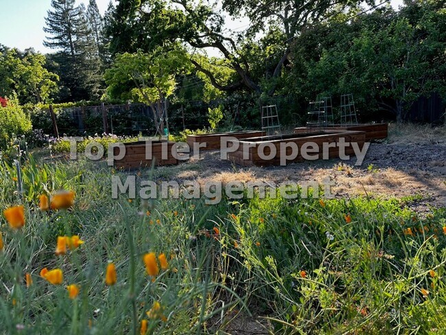 Building Photo - Spectacular 4 Bd/3 Ba, 2379 sf (plus separate structure ideal for office), single-family house in...