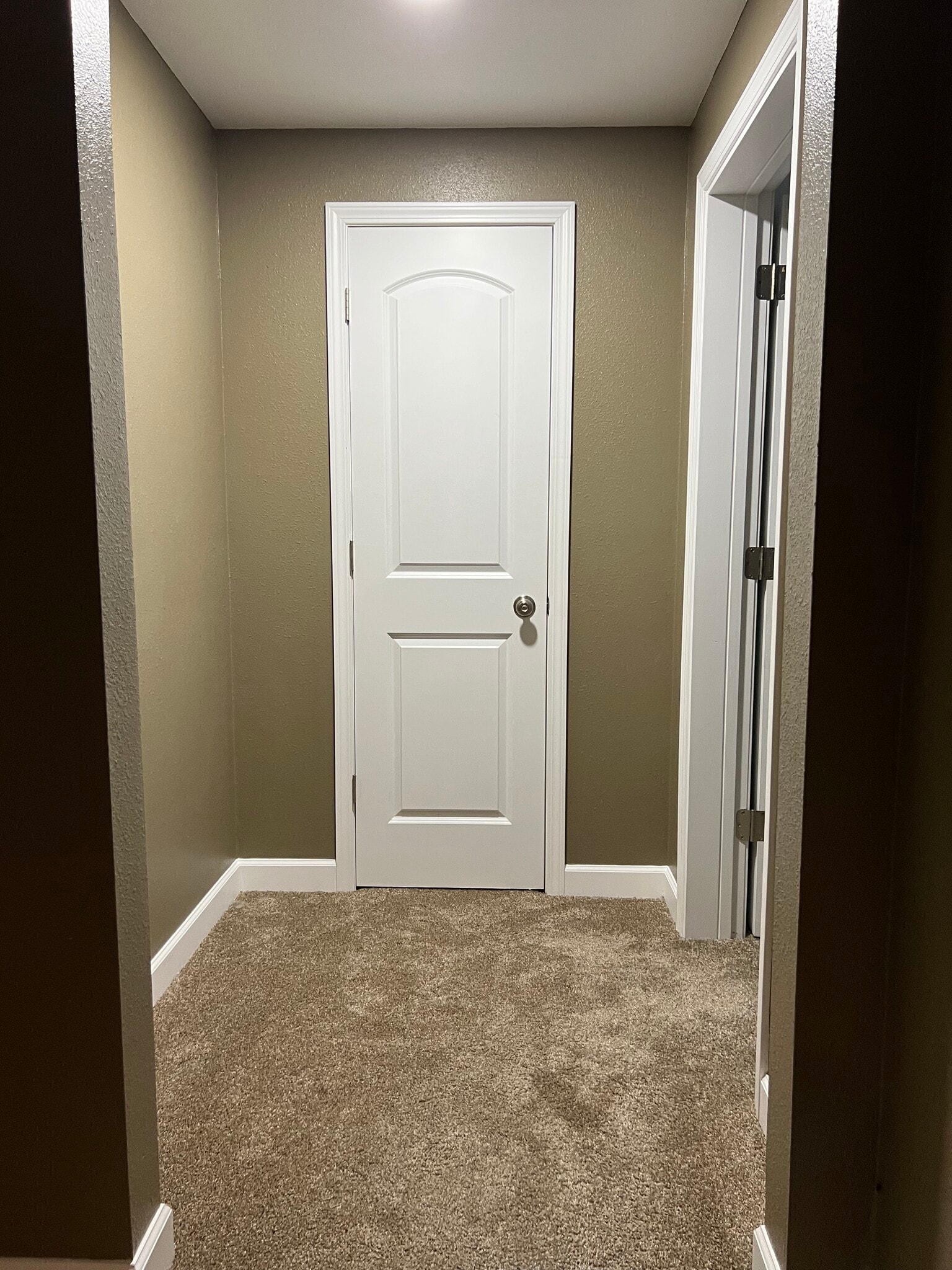 Closet (downstairs) - 4701 Rainbow Trout Dr