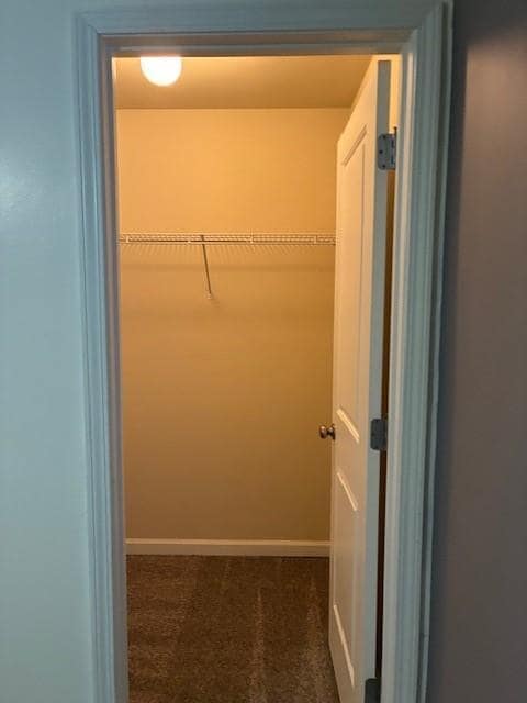 Building Photo - 3076 Bridge Walk Dr