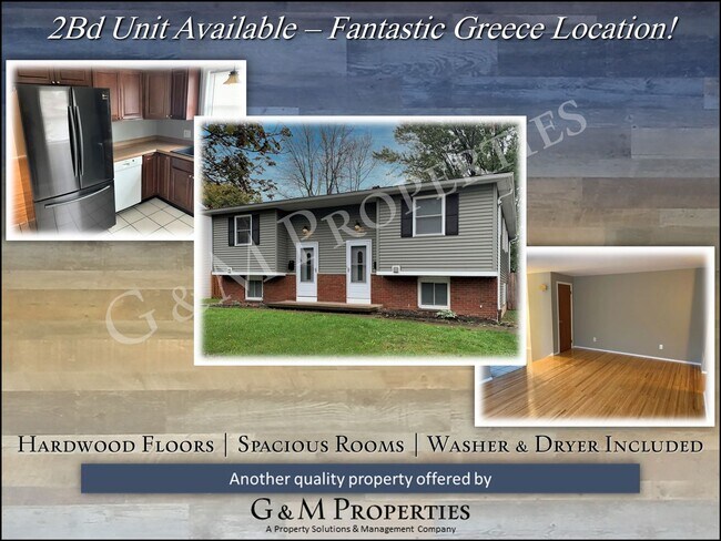 Primary Photo - 45-47 Williams Rd.