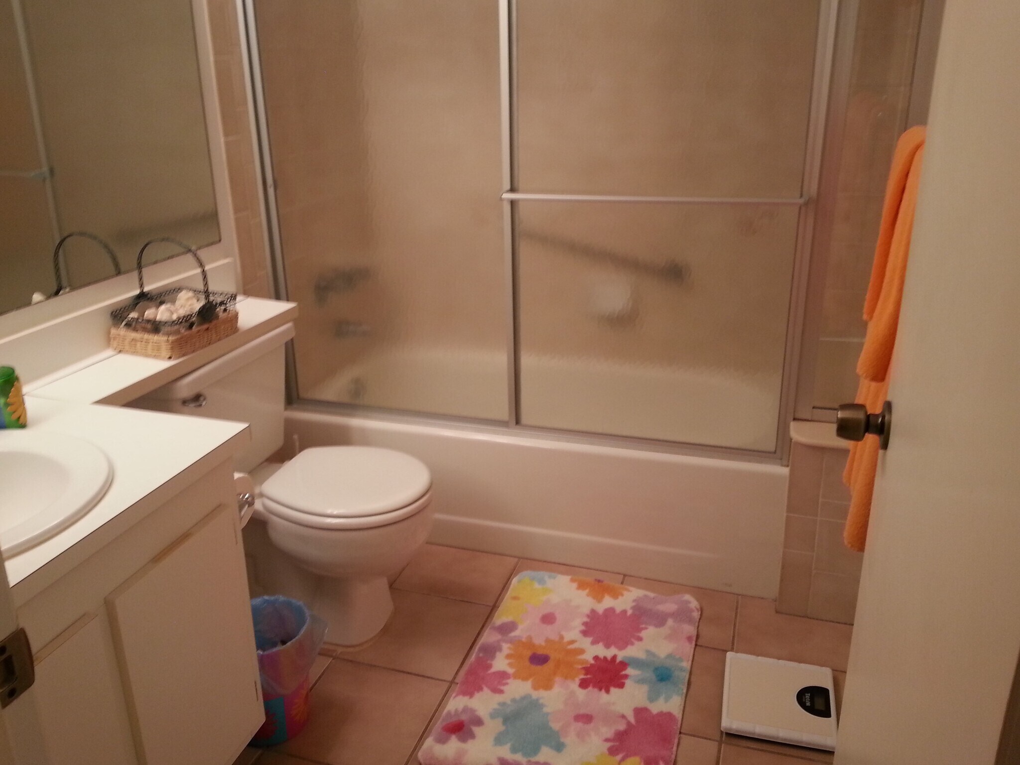 Second Bathroom - 806 Sky Pine Way